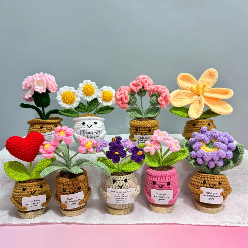 Crochet Plant