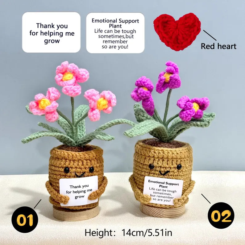 Emotional Support Crochet Plant – Handmade Flower Pot Thank You Gift