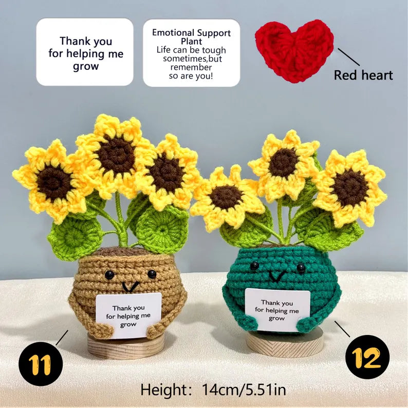 Emotional Support Crochet Plant – Handmade Flower Pot Thank You Gift