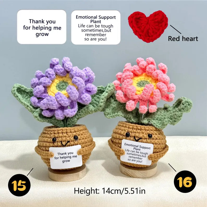 Emotional Support Crochet Plant – Handmade Flower Pot Thank You Gift