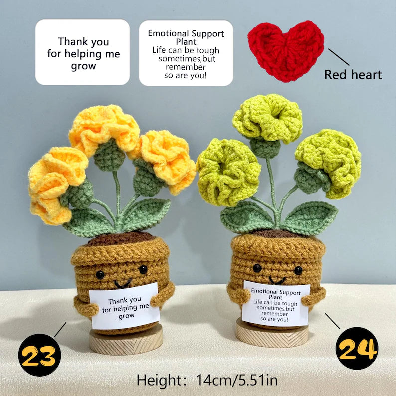 Emotional Support Crochet Plant – Handmade Flower Pot Thank You Gift