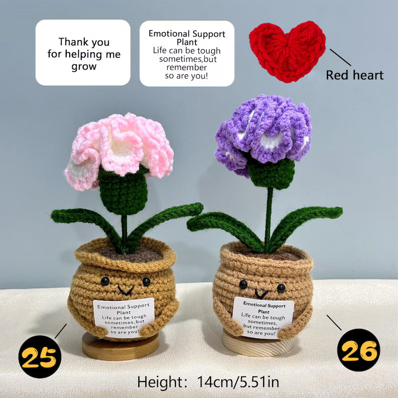 Emotional Support Crochet Plant – Handmade Flower Pot Thank You Gift