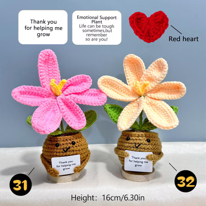 Emotional Support Crochet Plant – Handmade Flower Pot Thank You Gift