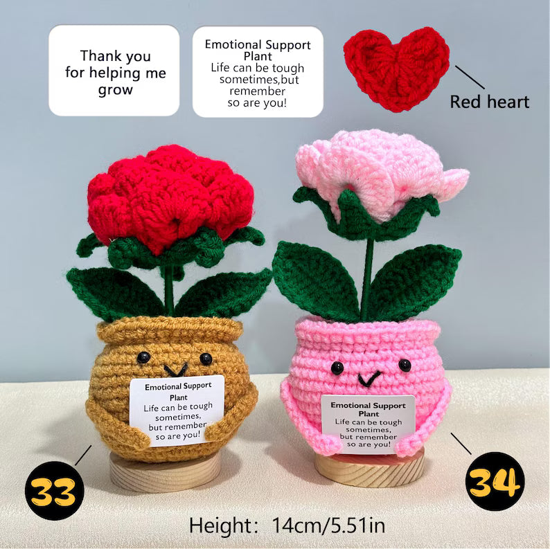 Emotional Support Crochet Plant – Handmade Flower Pot Thank You Gift