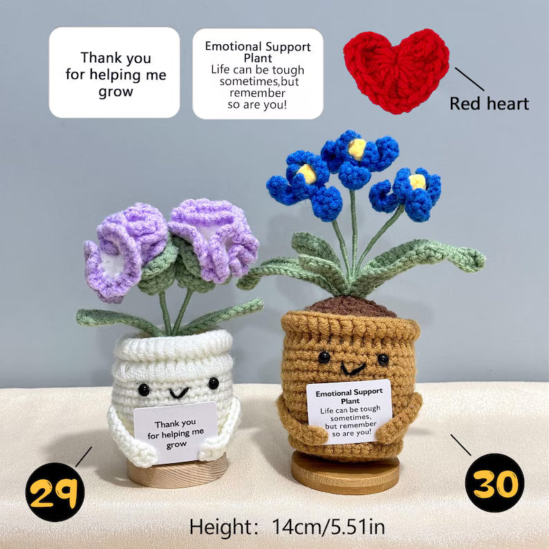 Emotional Support Crochet Plant – Handmade Flower Pot Thank You Gift