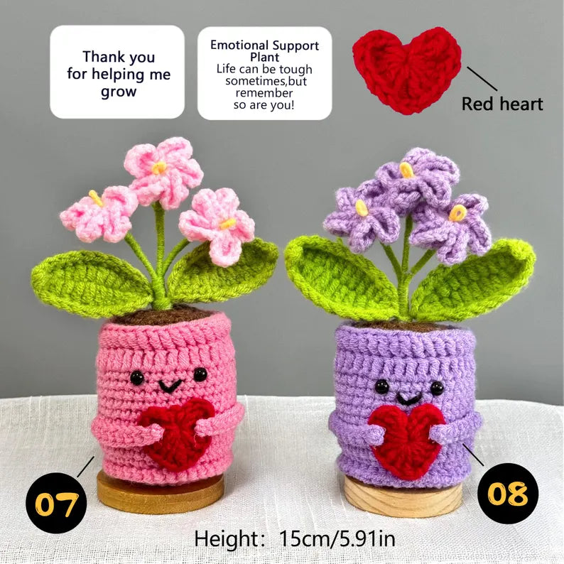 Emotional Support Crochet Plant – Handmade Flower Pot Thank You Gift