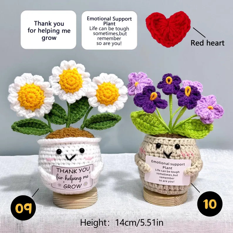 Emotional Support Crochet Plant – Handmade Flower Pot Thank You Gift