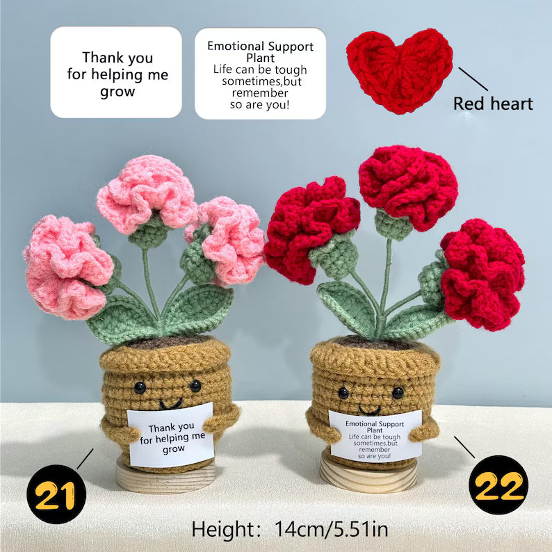 Emotional Support Crochet Plant – Handmade Flower Pot Thank You Gift