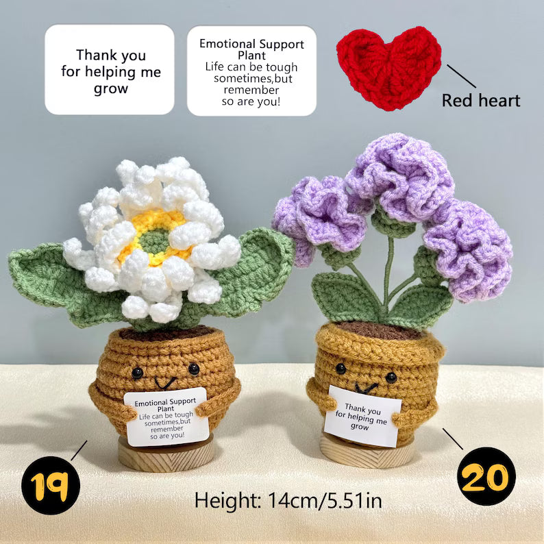 Emotional Support Crochet Plant – Handmade Flower Pot Thank You Gift