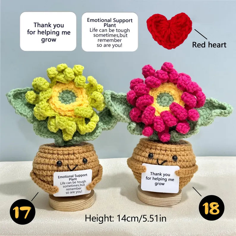 Emotional Support Crochet Plant – Handmade Flower Pot Thank You Gift