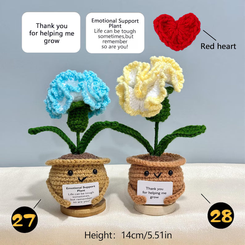 Emotional Support Crochet Plant – Handmade Flower Pot Thank You Gift