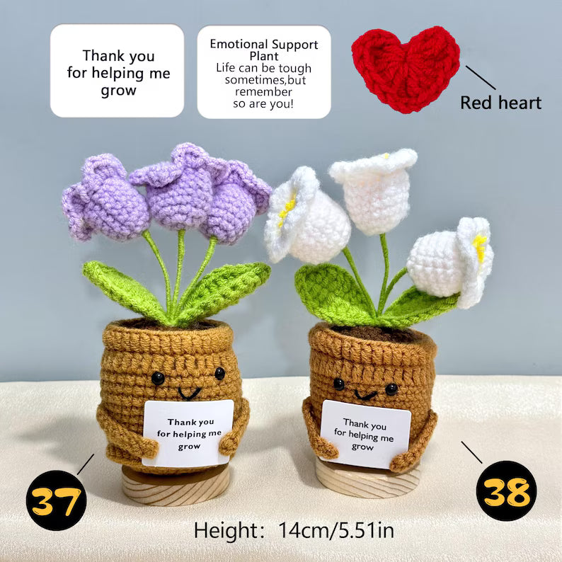Emotional Support Crochet Plant – Handmade Flower Pot Thank You Gift