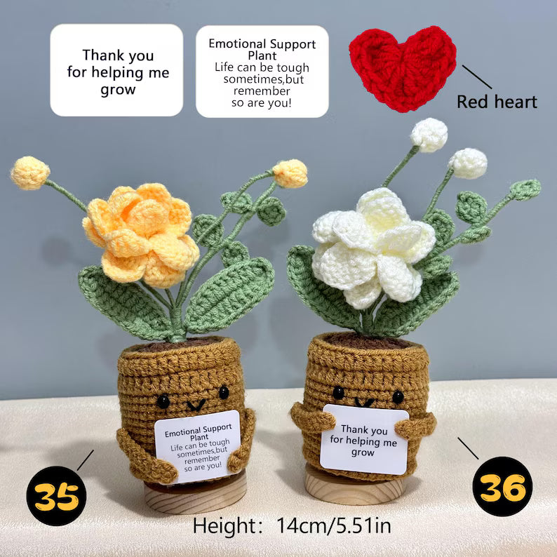 Emotional Support Crochet Plant – Handmade Flower Pot Thank You Gift